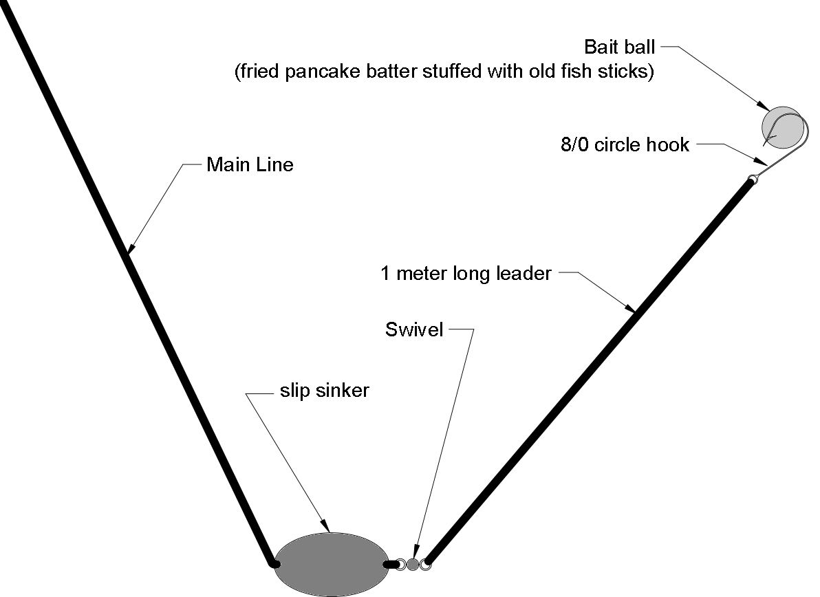 Fishing for Speckled Trout - Smart Fishin